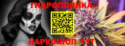 mdma Камышлов