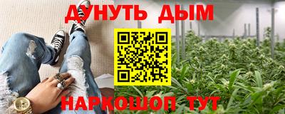 mdma Камышлов