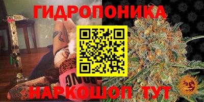 mdma Камышлов