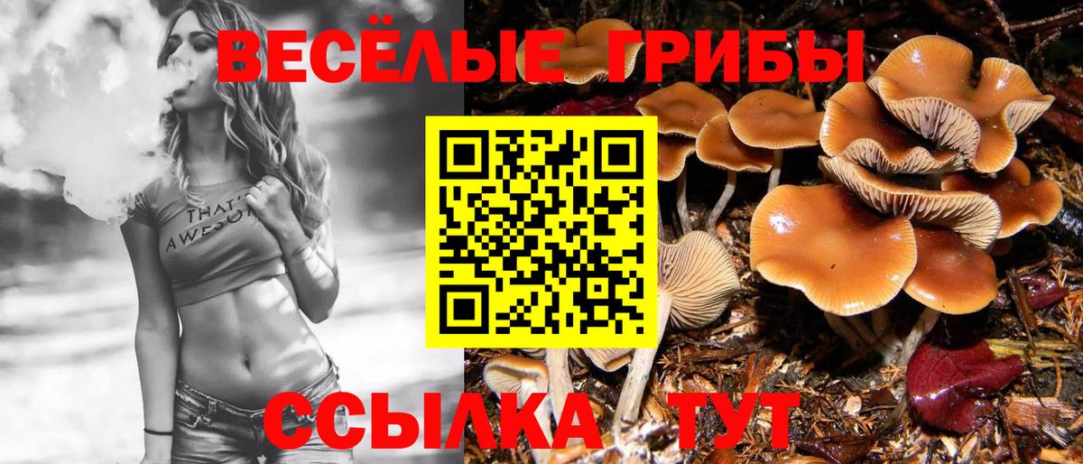 Кызыл  Псилоцибиновые грибы Magic Shrooms  Вход с VPN  Галлюциногенные грибы Psilocybine cubensis 